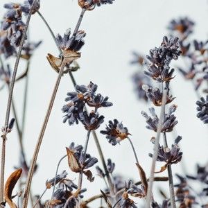 Meet your Posher, Gary